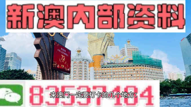 澳門正版精準(zhǔn)免費(fèi)大全——揭示違法犯罪問(wèn)題，澳門正版精準(zhǔn)免費(fèi)大全揭秘違法犯罪問(wèn)題