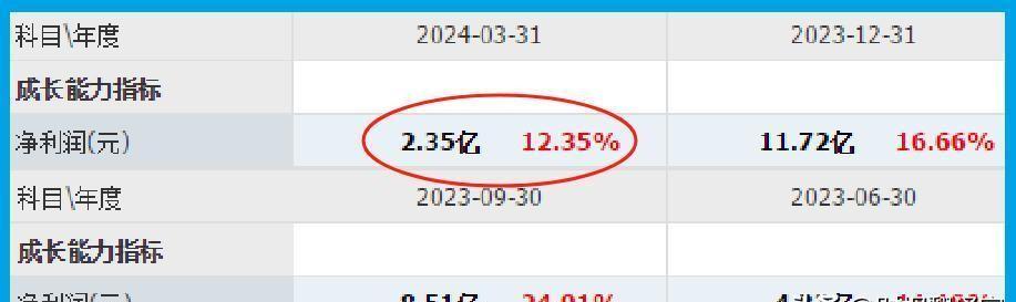 神州數碼2024年業績展望，行業趨勢與公司策略的雙輪驅動，神州數碼2024年業績展望，行業趨勢與公司策略雙輪驅動下的增長預期