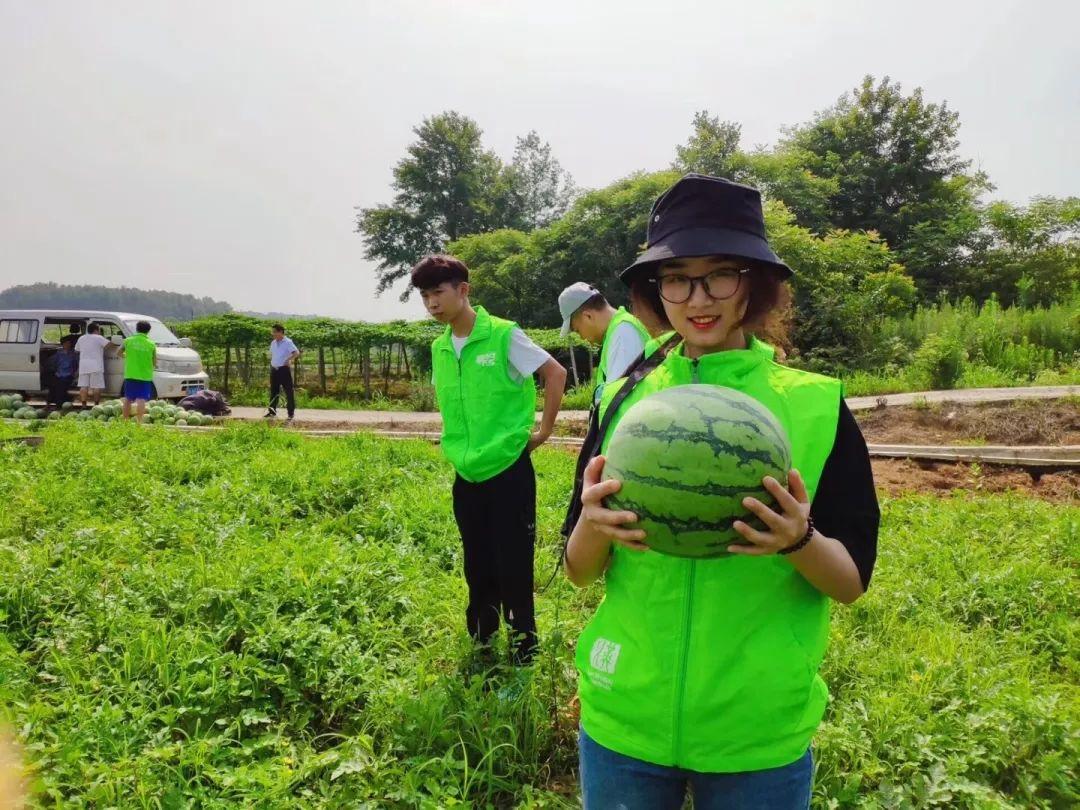 先鋒電子重組最新消息，行業(yè)變革中的重磅動態(tài)，先鋒電子重組最新動態(tài)揭秘，行業(yè)變革重磅消息發(fā)布