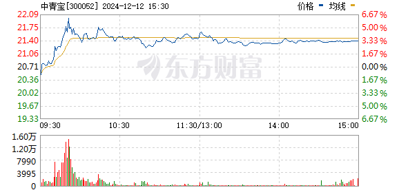 浙大網新所屬板塊深度解析，浙大網新所屬板塊的深度探究