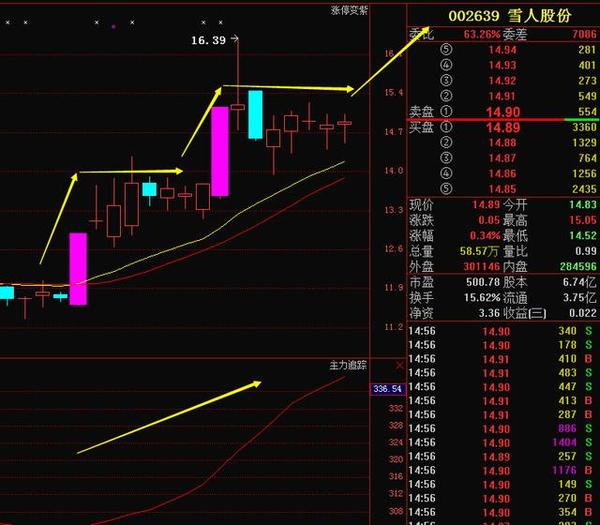 雪人股份股票表現分析，現狀、前景與挑戰，雪人股份股票深度解析，現狀、前景與面臨的挑戰