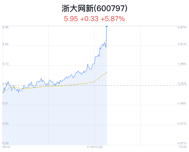 浙大網(wǎng)新股價下跌5.01%，深度分析與應(yīng)對策略，浙大網(wǎng)新股價下跌5.01%，深度分析與應(yīng)對之策