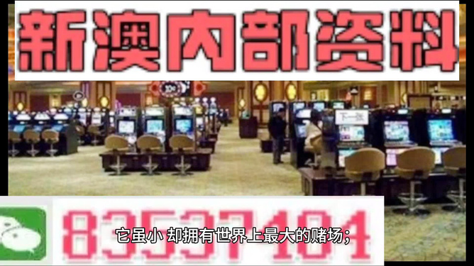 澳門正版精準免費大全——揭示違法犯罪問題，澳門正版精準免費大全揭秘違法犯罪問題