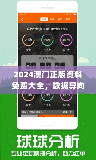 新澳2024今晚開獎資料詳解，新澳2024今晚開獎資料全面解析