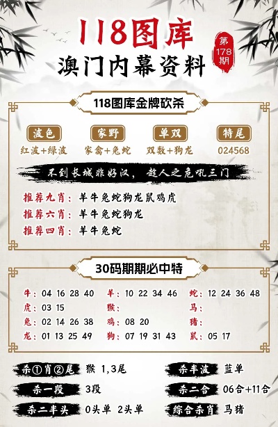 澳門管家婆,實踐解析說明_網頁版73.701