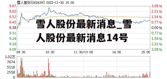 雪人股份2024年目標價展望，雪人股份2024年目標價展望與分析