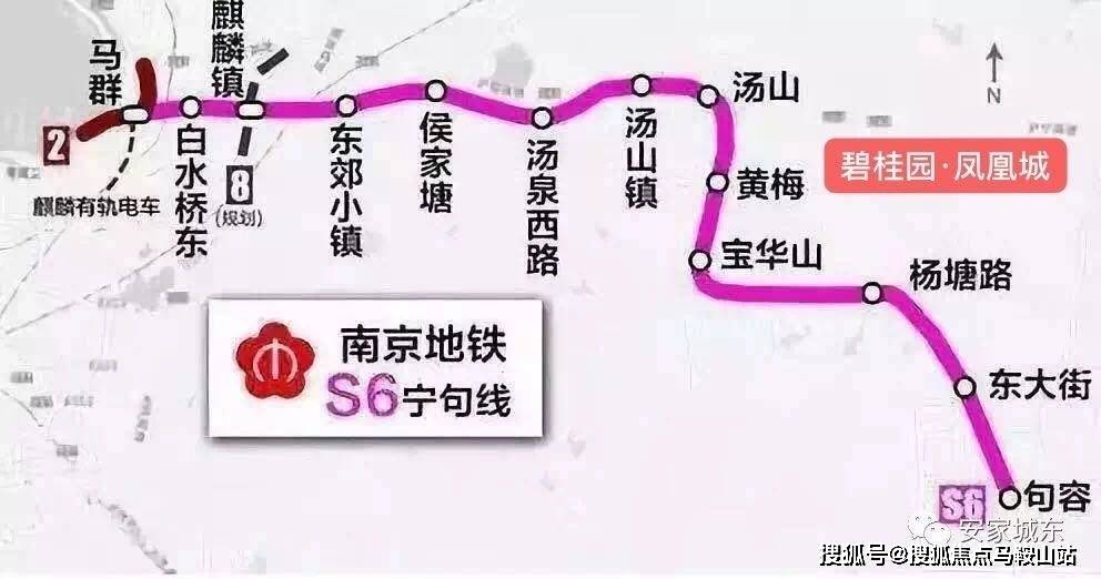 多倍增長路徑探析