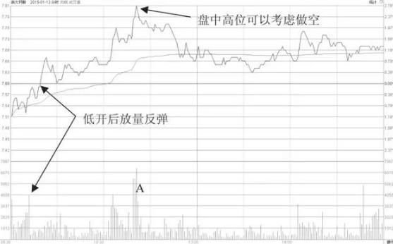 浙大網(wǎng)新歷史最高股價，見證數(shù)字化轉(zhuǎn)型的力量與潛力，浙大網(wǎng)新歷史最高股價，數(shù)字化轉(zhuǎn)型的力量與潛力見證