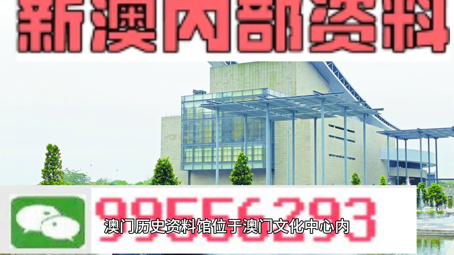 關于新澳門天天彩2024年全年資料的探討——警惕違法犯罪風險，警惕風險，新澳門天天彩2024年全年資料探討與違法犯罪防范