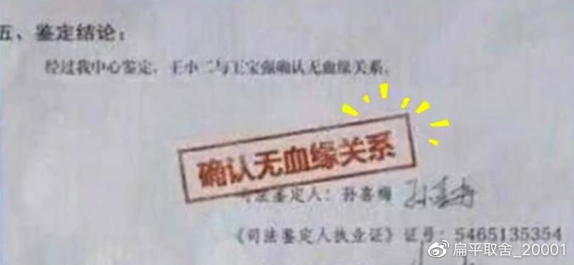 王寶強親子鑒定，確認無血緣關系——探尋真相與情感的復雜糾葛，王寶強親子鑒定揭示真相，血緣之謎與情感糾葛的探尋