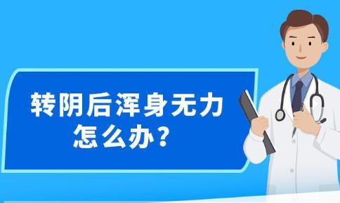 新澳精準(zhǔn)資料免費(fèi)提供265期,效率資料解釋落實(shí)_免費(fèi)版97.766