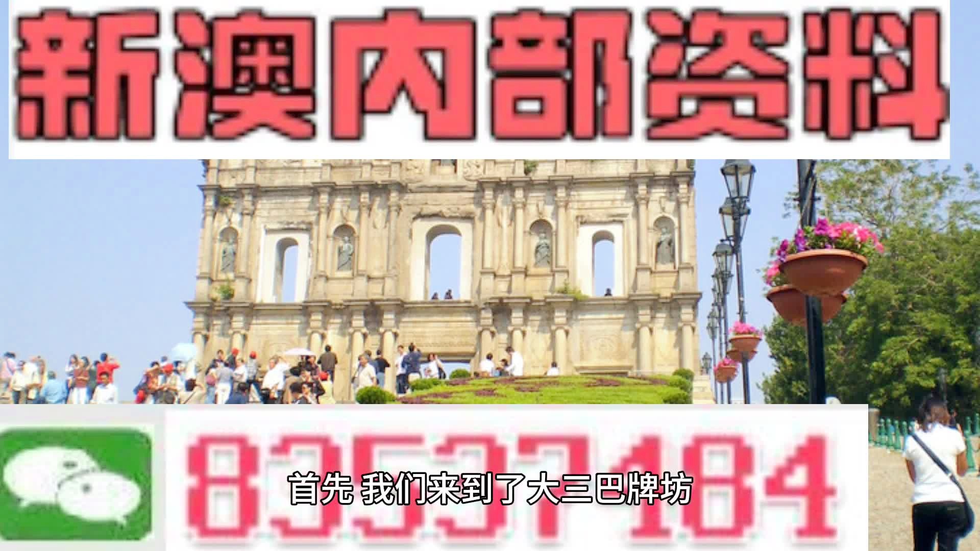 新澳今日動態及未來展望，邁向更加繁榮的2024年，新澳今日發展動態及未來展望，邁向2024年更加繁榮的新篇章