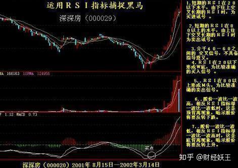 即將暴漲的黑馬股票，市場的新領軍者，黑馬股票即將崛起，市場新領軍者引領風潮