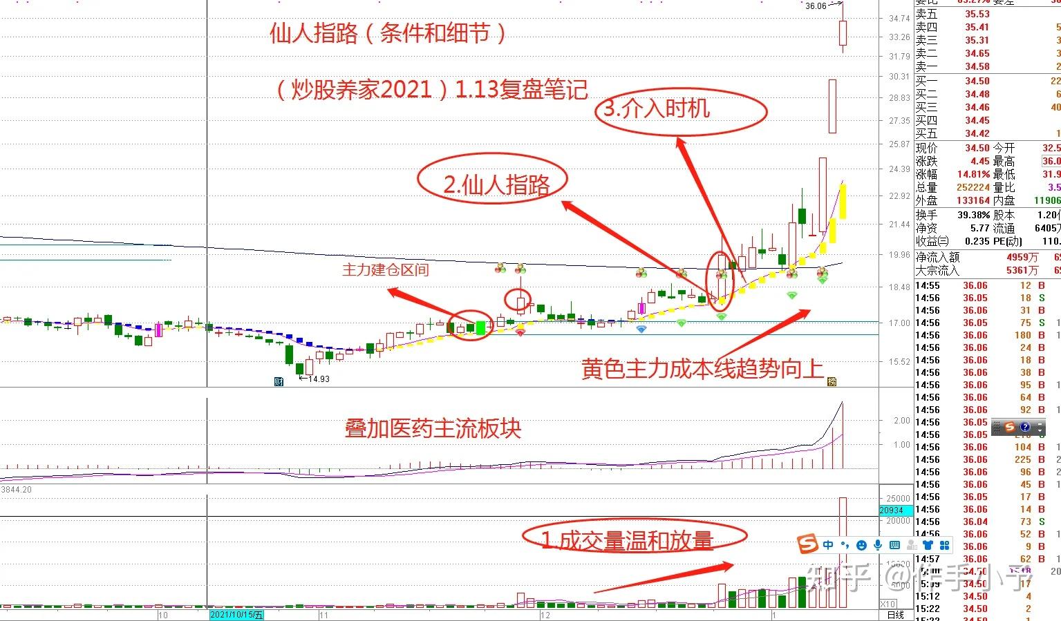 仙人指路新澳規律下的三肖探索，新澳規律下的三肖探索，仙人指路揭秘