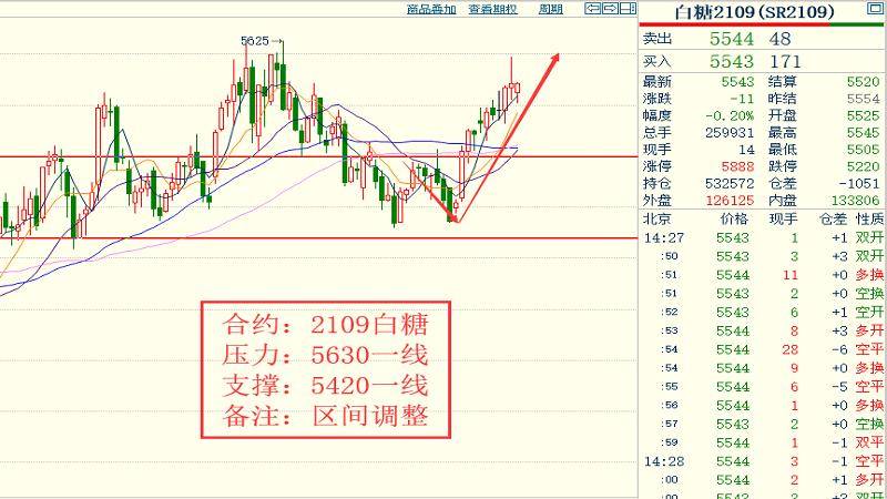 2024今晚香港開特馬,有效解答解釋落實(shí)_入門版20.261