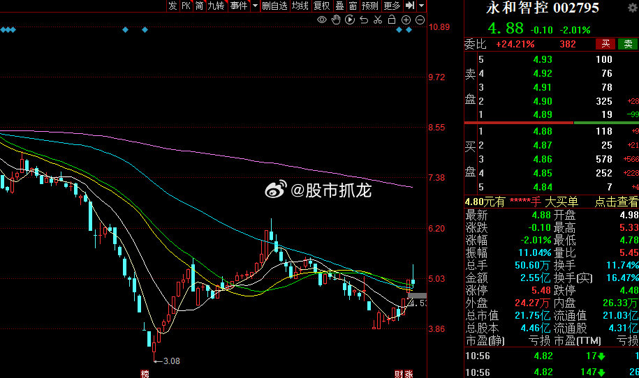 永和股份股票，深度解析與發展前景，永和股份股票深度解析與未來前景展望