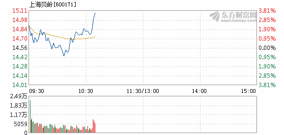 上海貝嶺2025年目標價的深度分析與展望，上海貝嶺未來展望，深度分析2025年目標價及展望