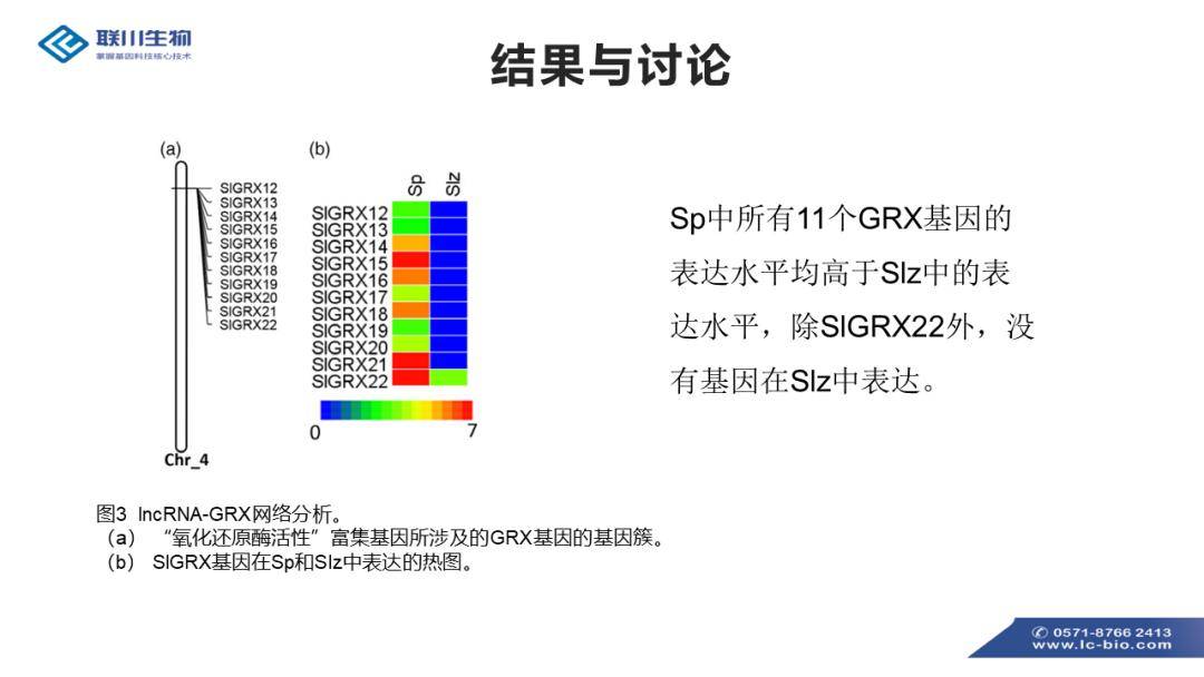 626969cm澳彩資料大全查詢,調整方案執行細節_Harmony40.972