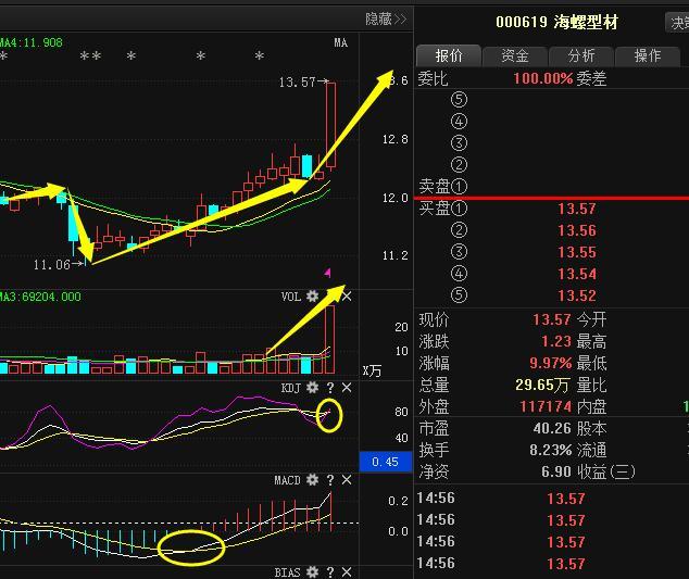 海螺新材主力資金凈買入，市場趨勢與行業洞察，海螺新材主力資金凈買入背后的市場趨勢與行業洞察分析