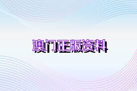 廣東二八站資料澳門最新消息,前沿說明解析_豪華版180.300