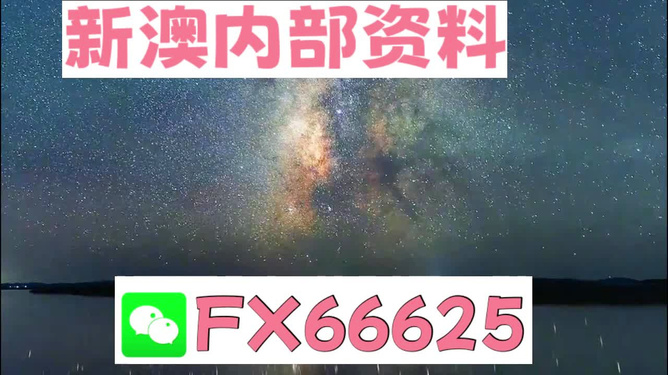 新澳2024年正版免費資料，探索未來的財富與機遇，新澳2024正版免費資料，揭秘未來財富與機遇之門