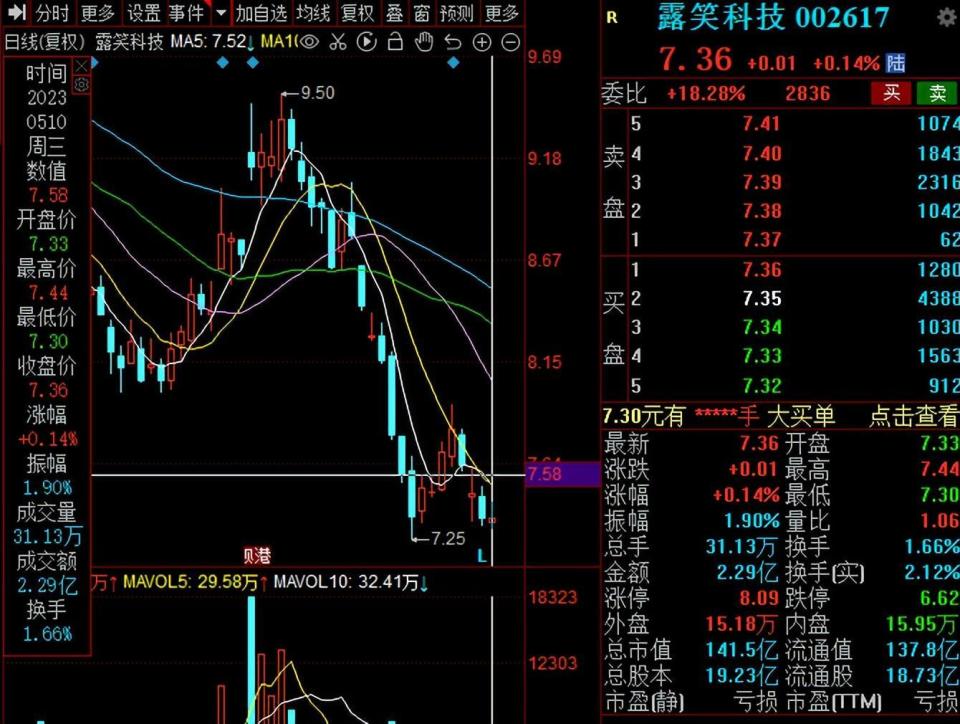 露笑科技所屬板塊探究，露笑科技所屬板塊深度解析