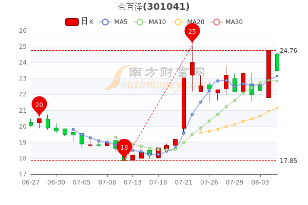 金百澤股票的投資價值深度解析，金百澤股票投資價值深度剖析