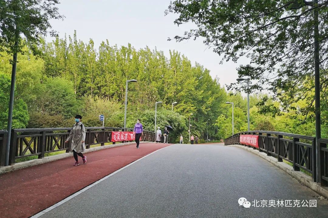 奧森公園最新動態與變化，奧森公園最新動態及變化概述