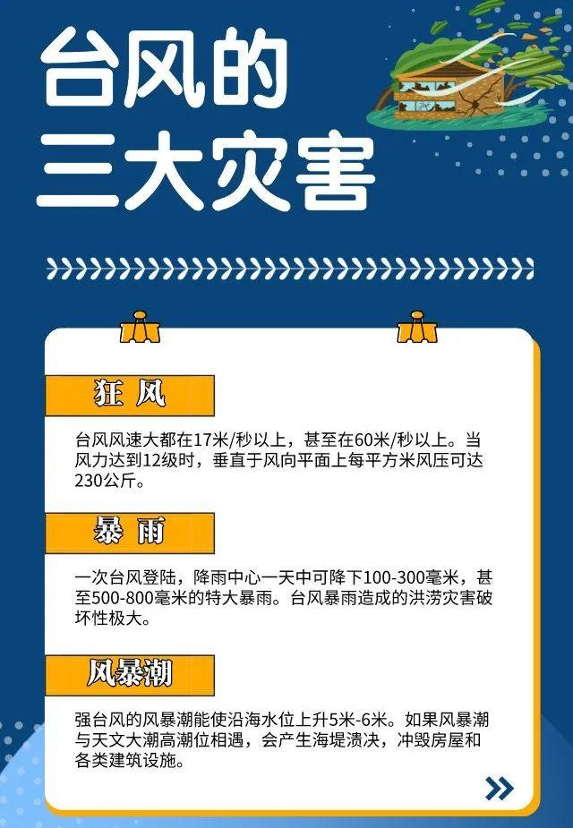 臺風最新信息公告，全面監測與應對措施，臺風最新動態，全面監測與應對策略公告