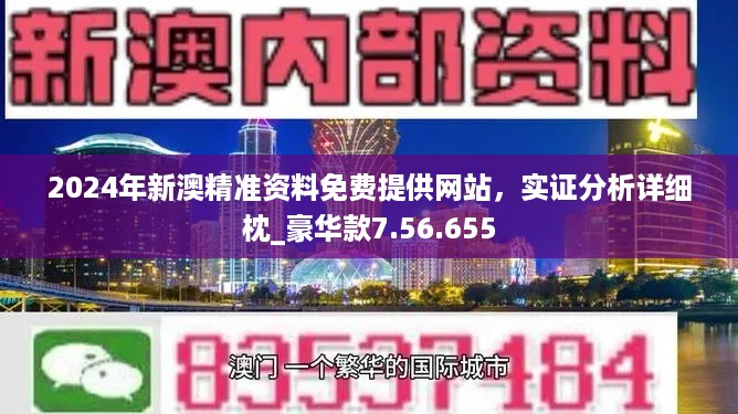 新澳2024免費資料,實際案例解釋定義_W81.769