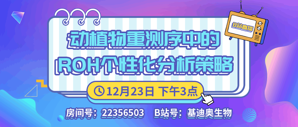 2024年澳門天天開好彩,靈活設計操作方案_頂級款63.322