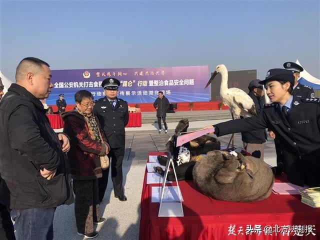 湖北一學生遭遇校園暴力事件，被同學打掉三顆牙，引發社會關注與深思，湖北校園暴力事件，學生遭同學暴力攻擊失去三顆牙齒，引發社會關注與反思