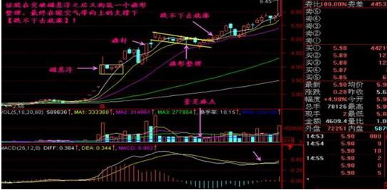 今天深股票最新動態，市場走勢與投資機會分析，今日深股票最新動態及市場走勢分析，投資機會一覽無余