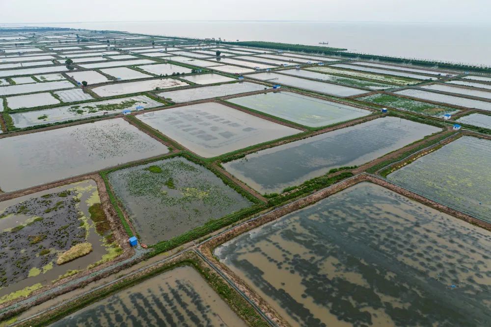 最新洪湖市，繁榮與發展中的明珠，洪湖市，繁榮明珠，發展之光