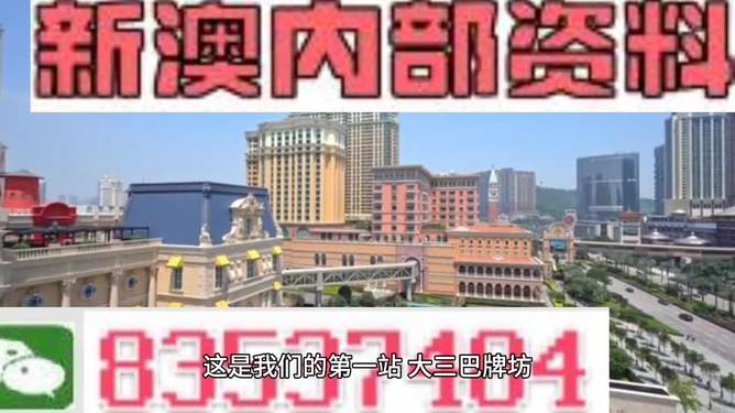 澳門正版免費全年資料大全旅游團，警惕背后的風險與犯罪問題，澳門旅游團資料大全背后的風險與犯罪問題警惕