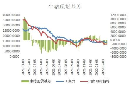 生豬現貨價格走勢分析，生豬現貨價格走勢解析