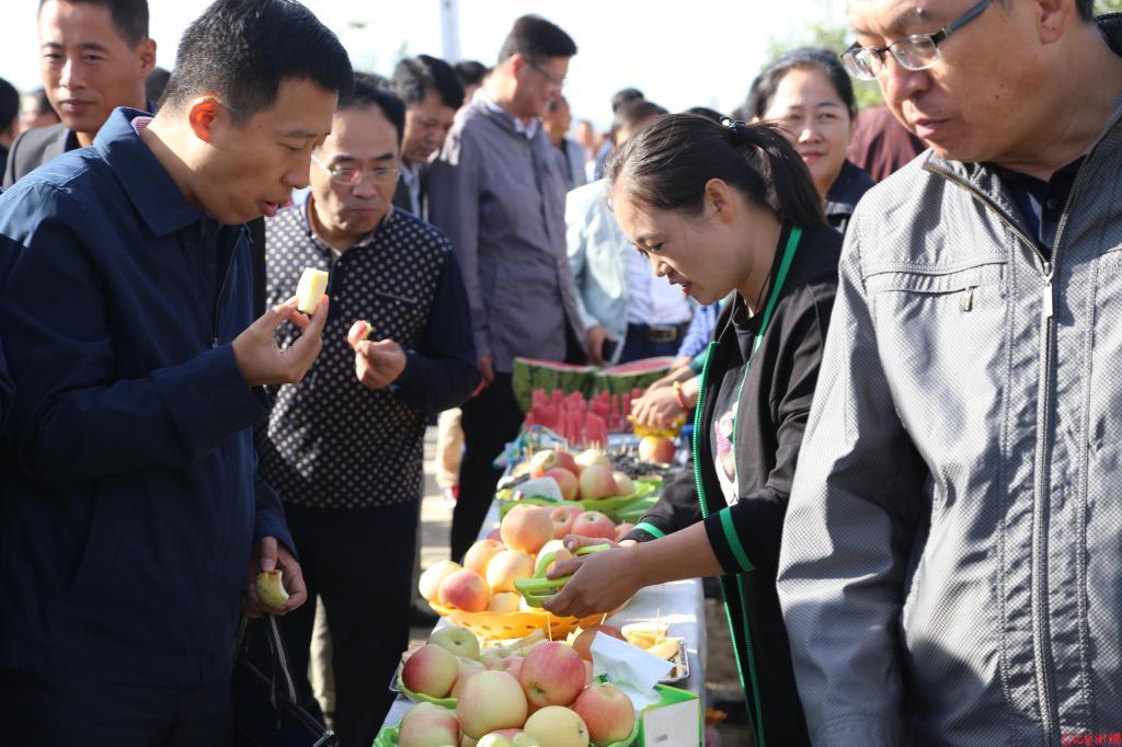 陜西蘋果產業轉型升級路徑研究，陜西蘋果產業轉型升級路徑探究