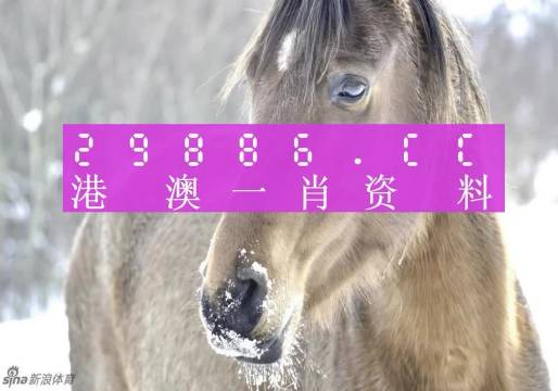 澳門精準(zhǔn)一肖一碼100%，揭示背后的犯罪問題，澳門精準(zhǔn)一肖一碼犯罪揭秘，犯罪背后的真相曝光