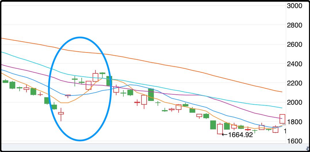 IPO全面收緊，市場的新挑戰(zhàn)與機遇，IPO全面收緊背景下的市場新挑戰(zhàn)與機遇