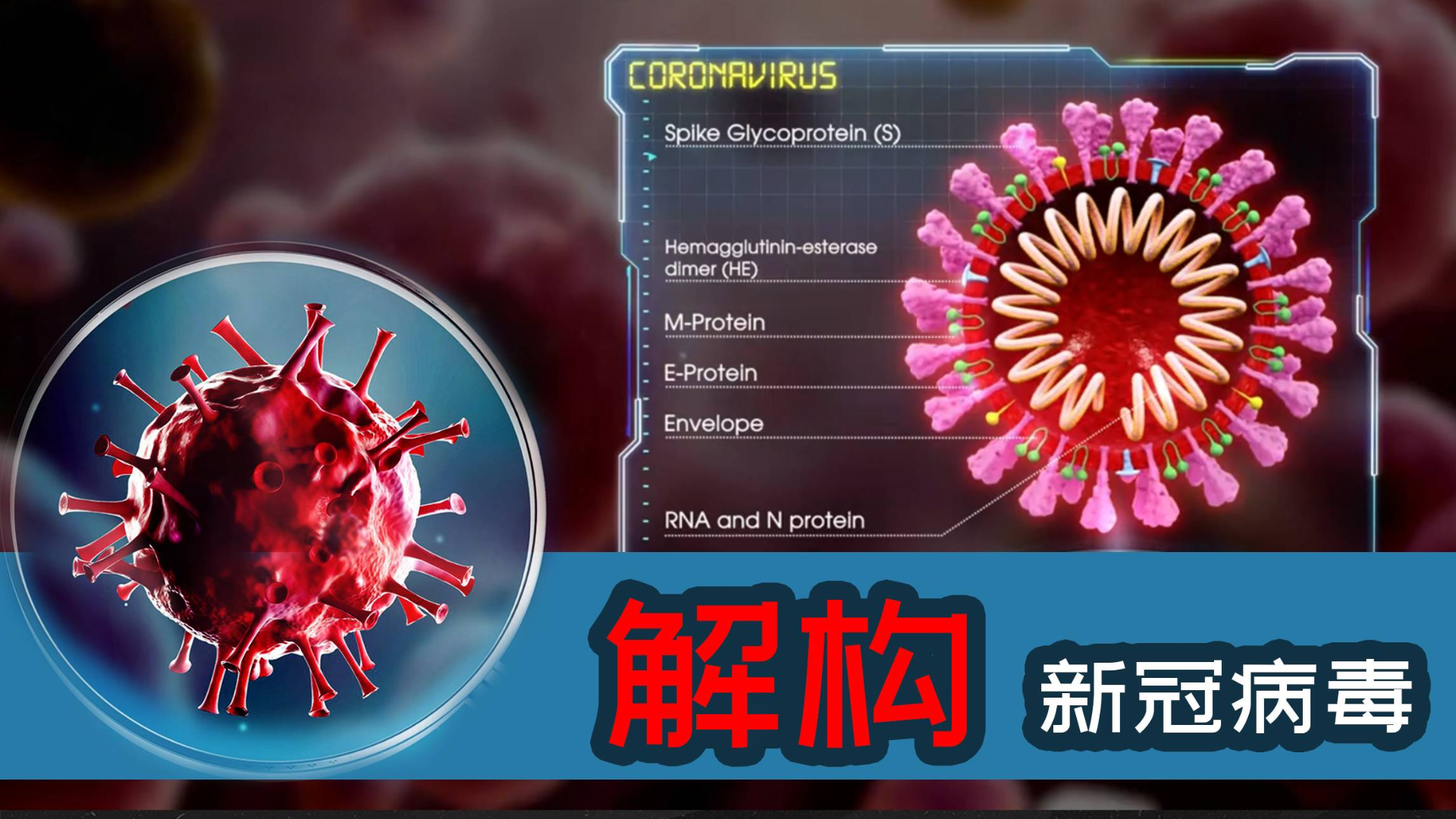 最新冠裝病毒，全球的挑戰(zhàn)與應對策略，全球冠裝病毒挑戰(zhàn)及應對策略最新進展