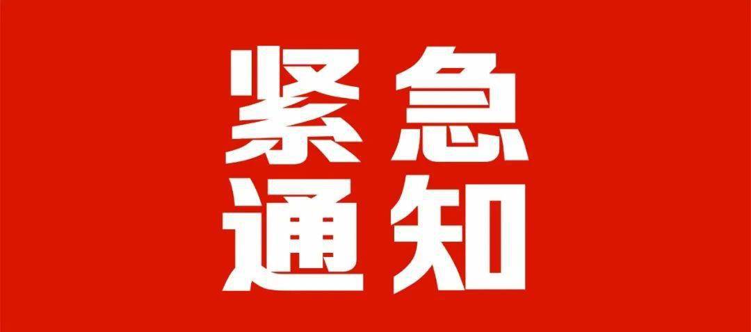 返寧最新信息概覽，動態與發展趨勢，返寧最新信息概覽，動態與發展趨勢一覽