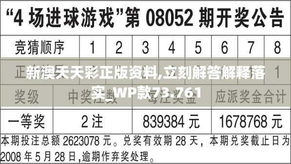 新奧天天彩正版免費(fèi)全年資料,靈活解析執(zhí)行_豪華款35.676