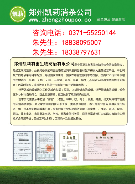 最新滅鼠標準，打造無鼠環境，保障人類生活品質，最新滅鼠標準，打造無鼠環境，守護人類生活品質