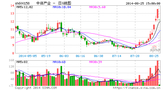 中體產(chǎn)業(yè)2025目標價，戰(zhàn)略視野下的長期價值展望，中體產(chǎn)業(yè)2025目標價，戰(zhàn)略視角下的長期價值展望與展望