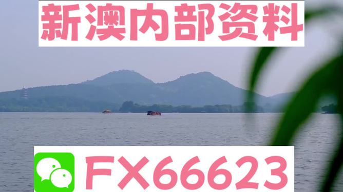 新澳2024正版資料免費(fèi)公開，探索與揭秘，新澳2024正版資料揭秘，免費(fèi)公開的探索之旅