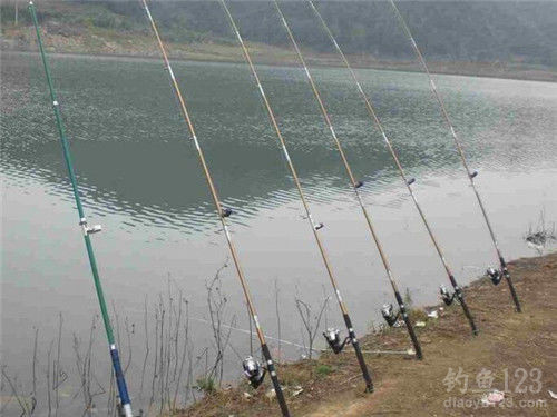 釣魚技巧分享，提高釣魚成功率的關鍵要素，揭秘釣魚技巧，提升成功率的關鍵要素解析