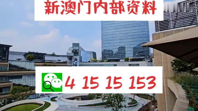 新澳門必中資料，揭示違法犯罪的危害與應對之策，澳門犯罪危害揭秘與應對策略，新資料揭示必中之道