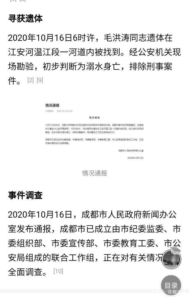 最新毛洪濤事件深度解析，毛洪濤事件深度剖析，揭示事件真相與影響