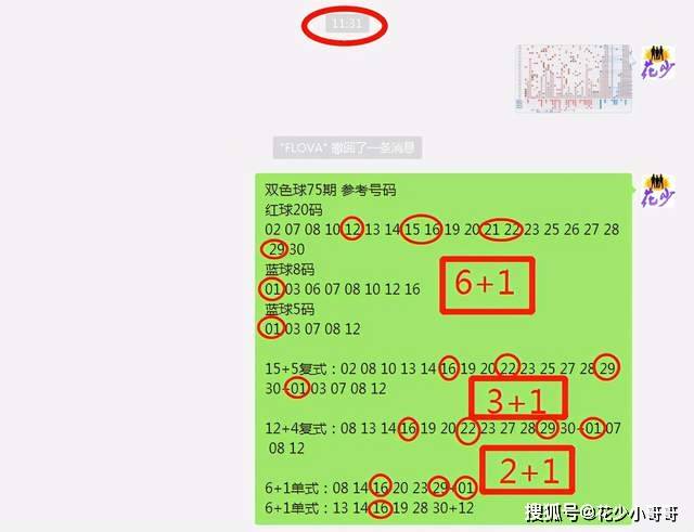 白小姐今晚特馬期期準六,深入數據解析策略_XT75.775