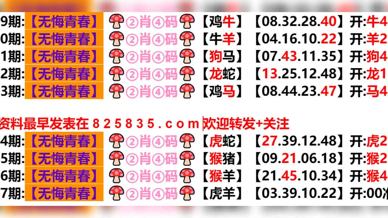 新澳門期期免費資料的重要性及其價值探索，澳門免費資料的重要性與價值探索